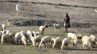 Olay yerinde bulunan deliller