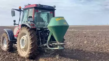 Adilcevaz’da ekim yapılan arpa tarlaları