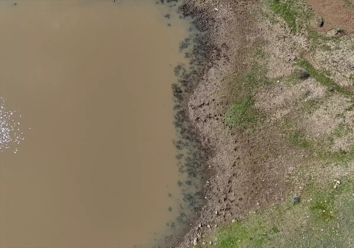 Kırklareli'de Taşlık Göleti'nde Şiddetli Yağış Sonrası Su Seviyesi Yükseldi