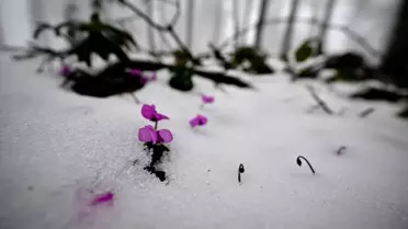 Düzce dağlarında kar yağışı