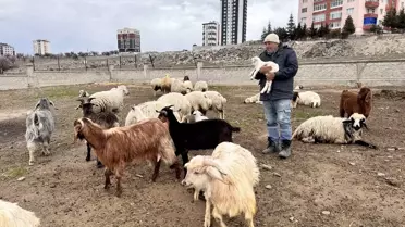 Saldırının ardından çekilen görüntüler