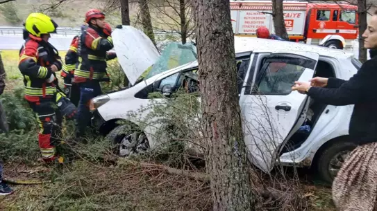 Kaza sonrası ormanlık alandaki araç