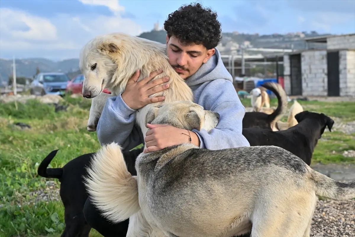 Savaşın Gölgesinde Hayvanları Koruyan Lübnanlı Genç: Muhammed Habli'nin Mücadelesi