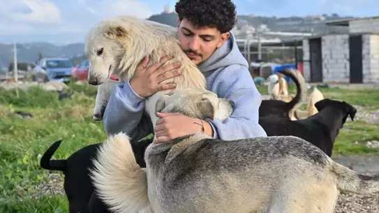 Muhammed Habli hayvanları kurtarırken