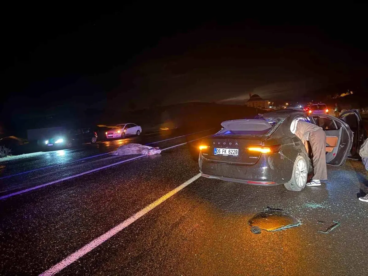 Bingöl-Muş Karayolunda Araç ve At Çarpışması: 4 Yaralı