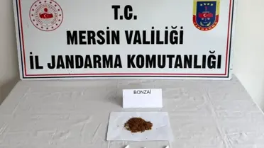 Operasyon anı