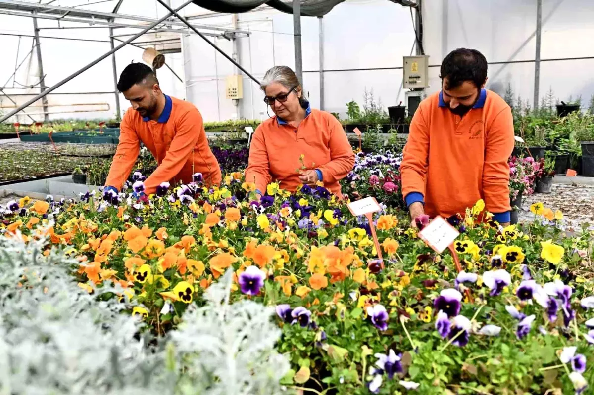 Muratpaşa Belediyesi'nden Sürdürülebilir Bitki Üretim Modeli