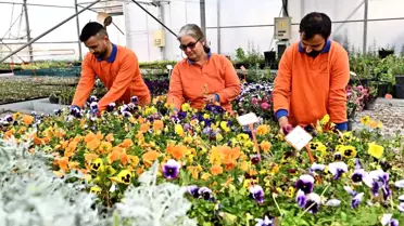 Yeni parkta kullanılan yerel bitkiler