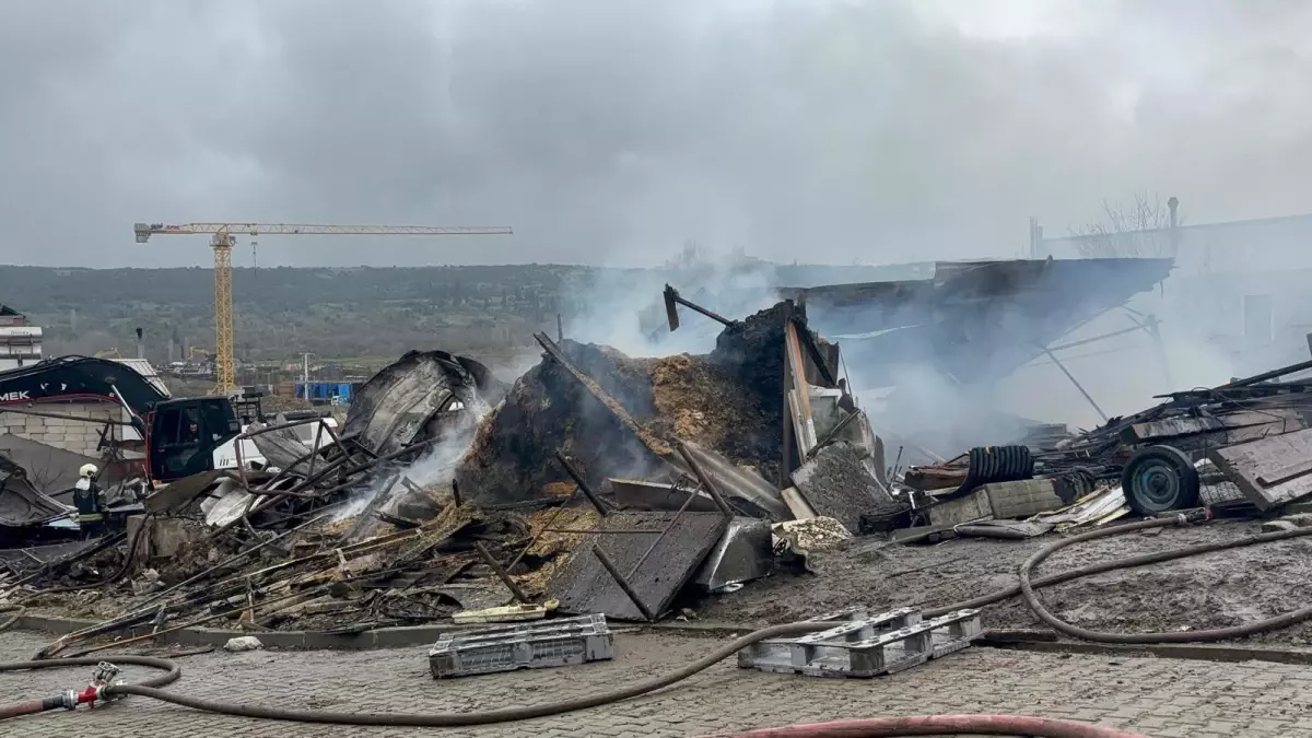 Dilovası’da Ahır Yangını Sonrası 460 Hayvan Hayata Veda Etti