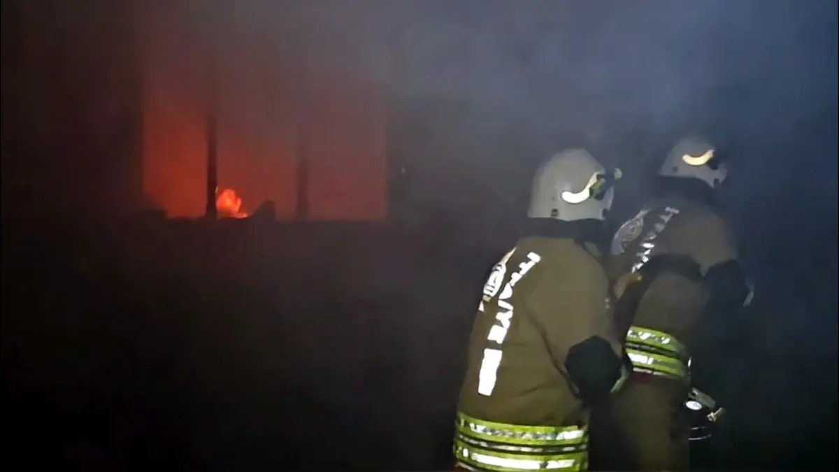 Edirne'de Ev Yangını Sonrası 3 Köpek Hayatını Kaybetti, 1 Köpek Kurtarıldı