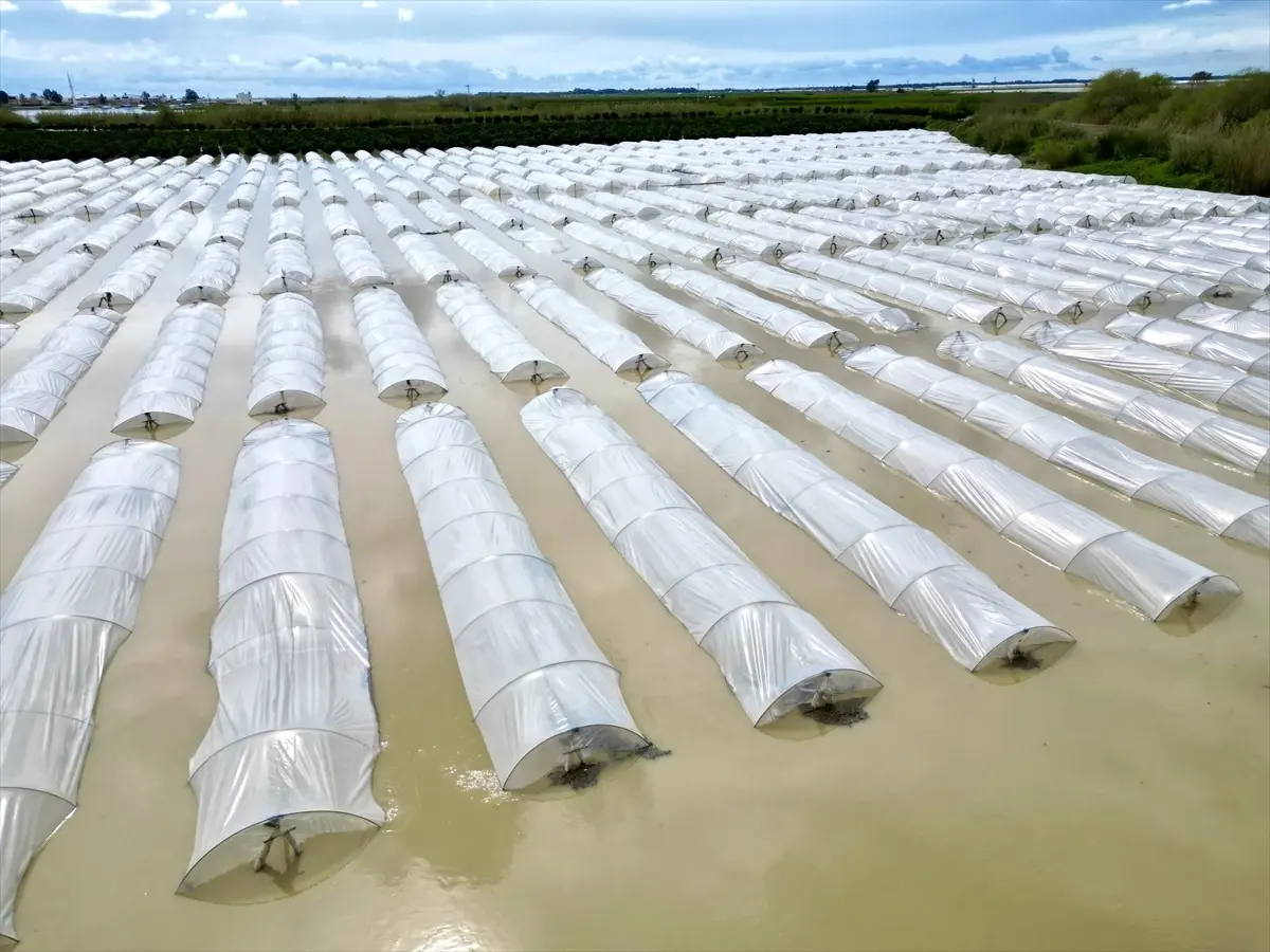 Tarsus’ta Şiddetli Sağanak Tarım Alanlarını Sular Altına Çekti