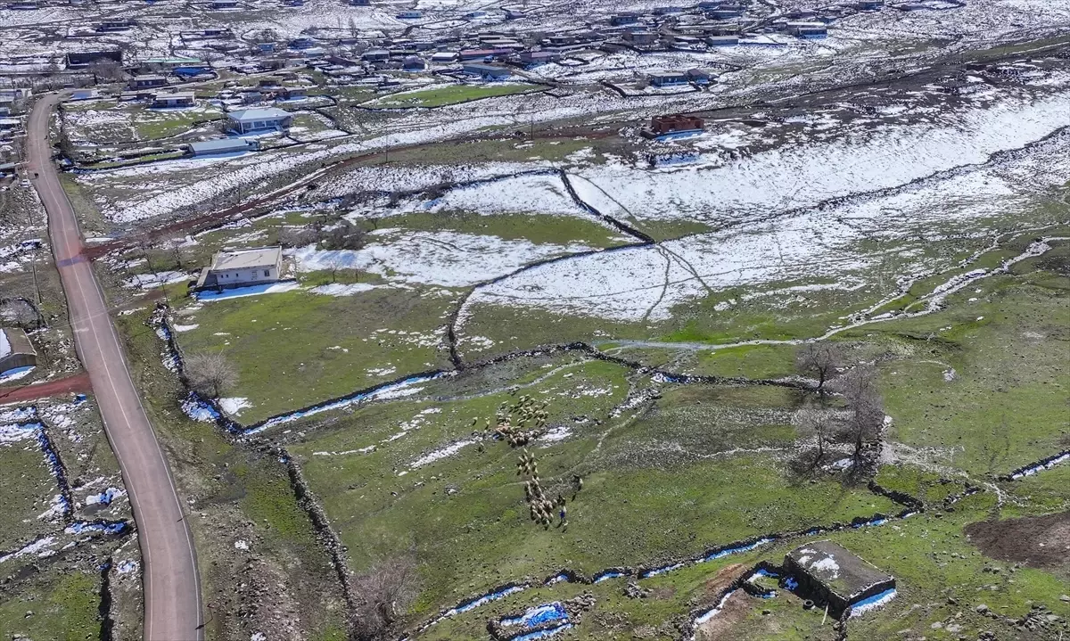 Karacadağ’da Yağışların Getirdiği Bereketli Hayvancılık Sezonu