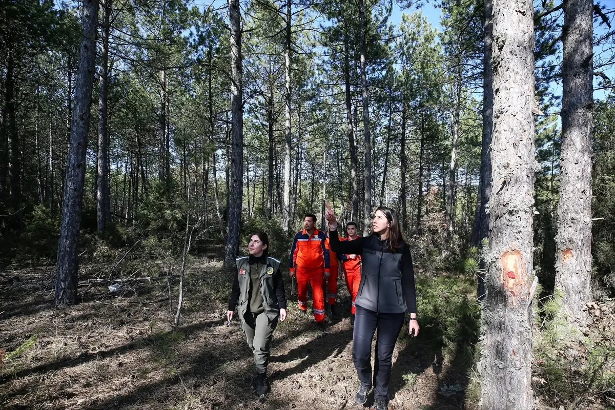 Bursa’nın Kadın Ormancıları: Orman Korumanın Yeni Kahramanları