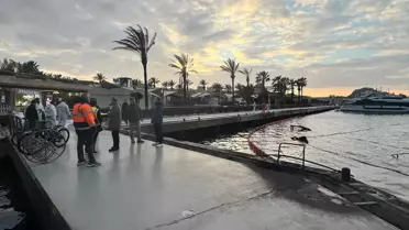 Marina yangını sonrası temizlik ekipmanları