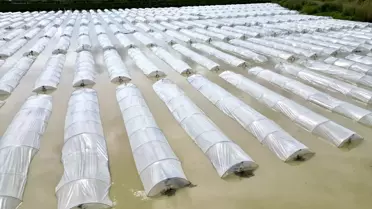 Sağanak sonrası Tarsus'taki su altında kalan tarım arazileri