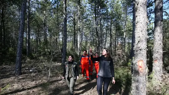 Kadın ormancılar orman içinde çalışırken