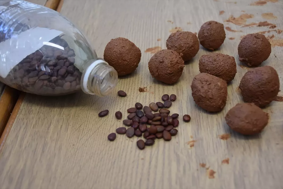 Trabzonlu Lise Öğrencileri 20 Bin Tohum Topu ile Yeşil Yol Projesi Başlattı