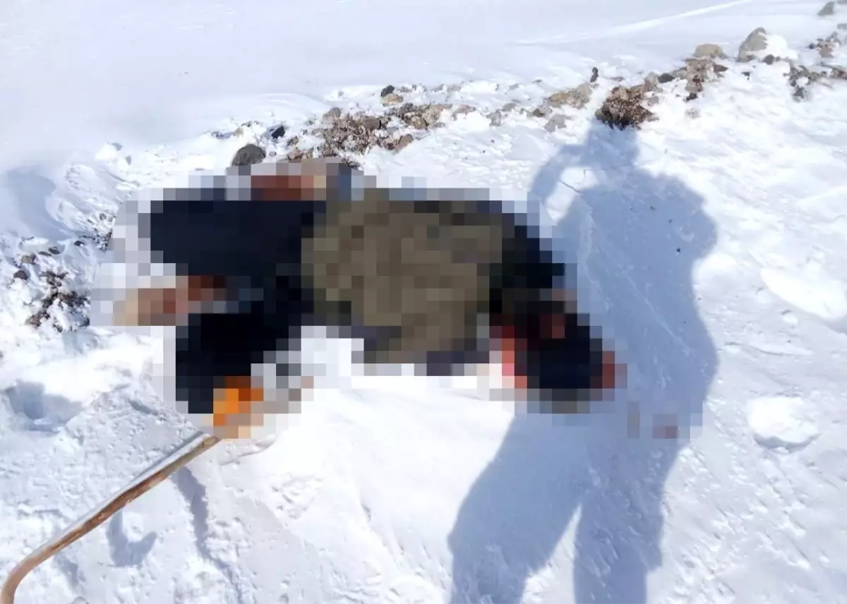 Van’ın Başkale İlçesinde İran Sınırına Yakın Erkek Cesedi Bulundu