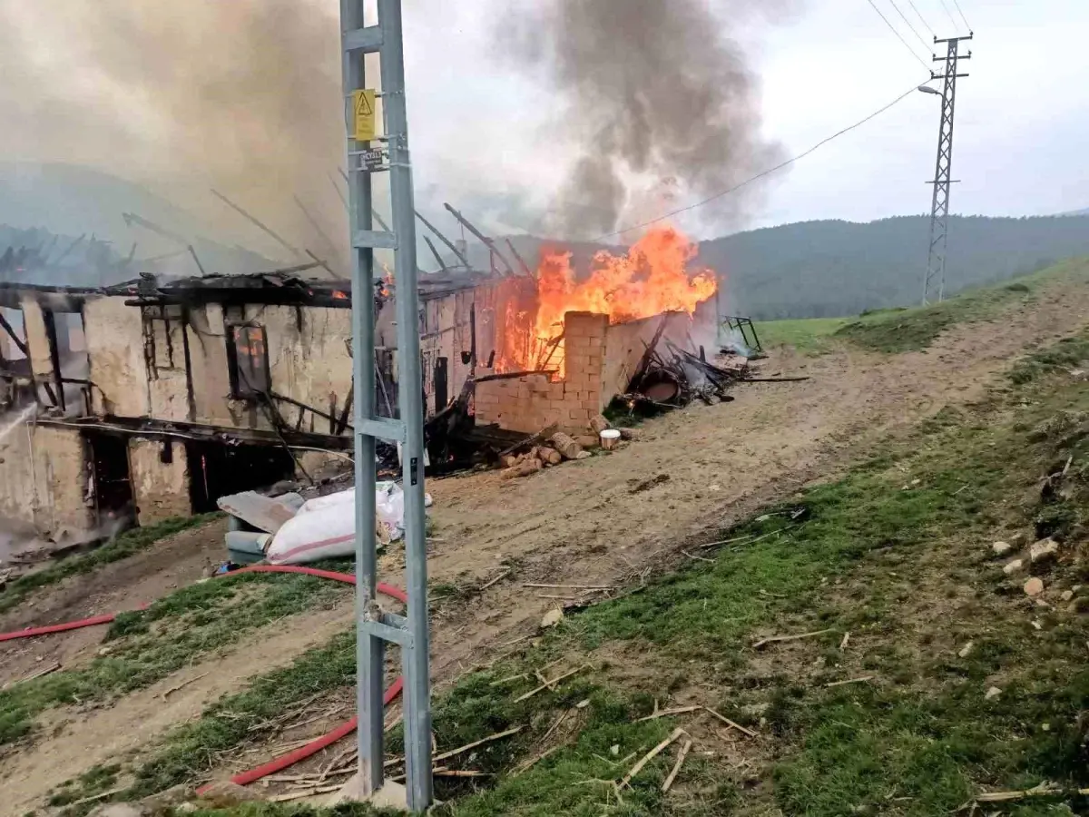 Kahyalar Köyü'nde Çıkan Yangın İki Katlı Ahşap Evi Yok Etti