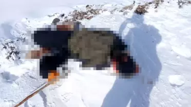 Van’ın Başkale İlçesinde İran Sınırına Yakın Erkek Cesedi Bulundu