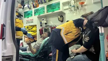 Yangın sırasında kurtarılan kediler