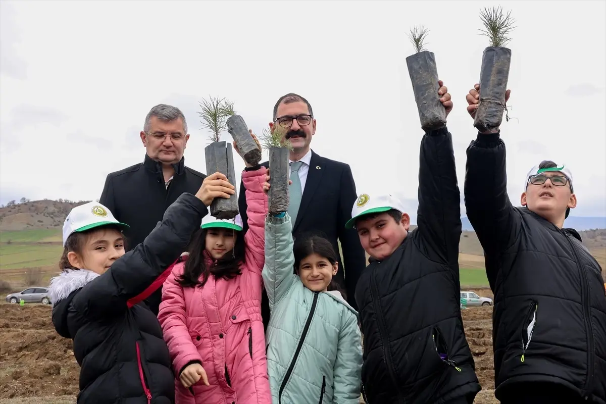 Taşköprü'de Öğrenciler, Dünya Ormancılık Haftası'nı 1150 Yeni Fidanla Kutladı