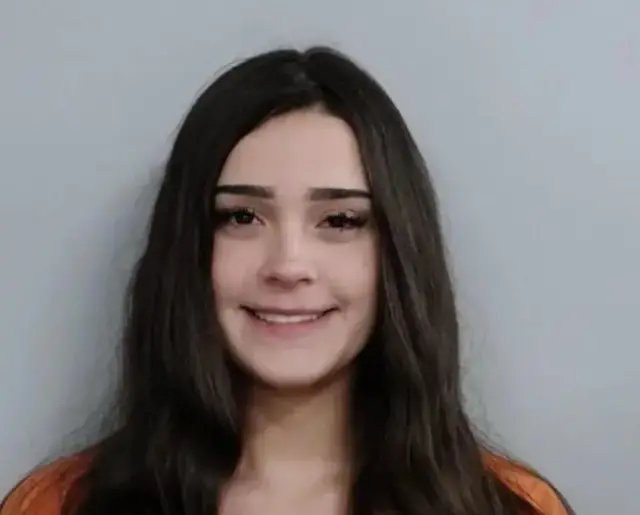 Kazada yaralanan yayalar