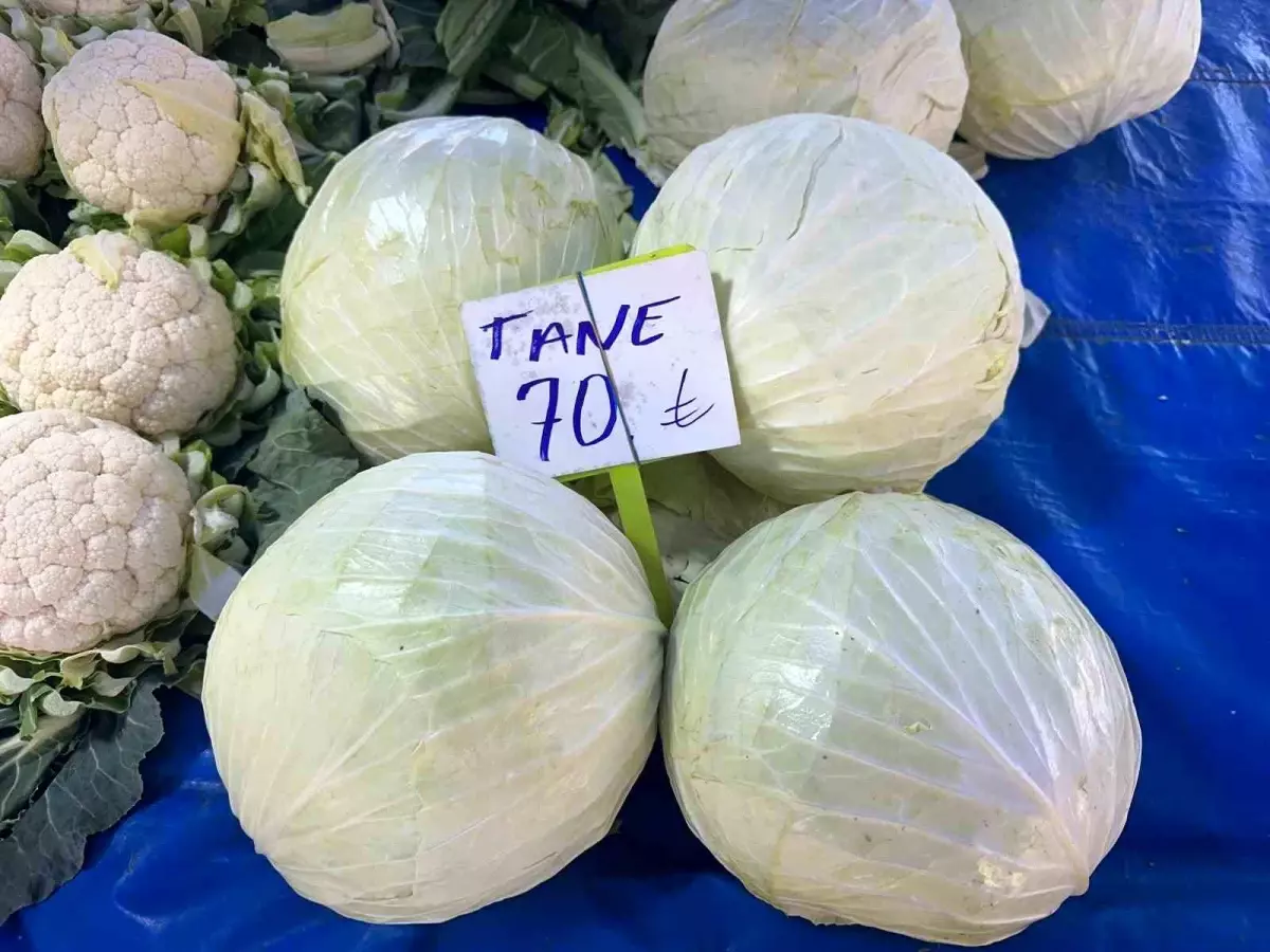 Beyaz Lahana Fiyatları Çifte Çıkma: Çiftçiler Zarar Görürken Raflar 100 TL’ye Ulaşıyor