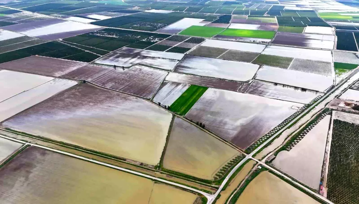 Adana’da Şiddetli Yağış Tarım Alanlarını Sular Altına Çekti