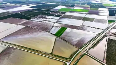 Yağış sonrası su altında kalan tarım arazileri