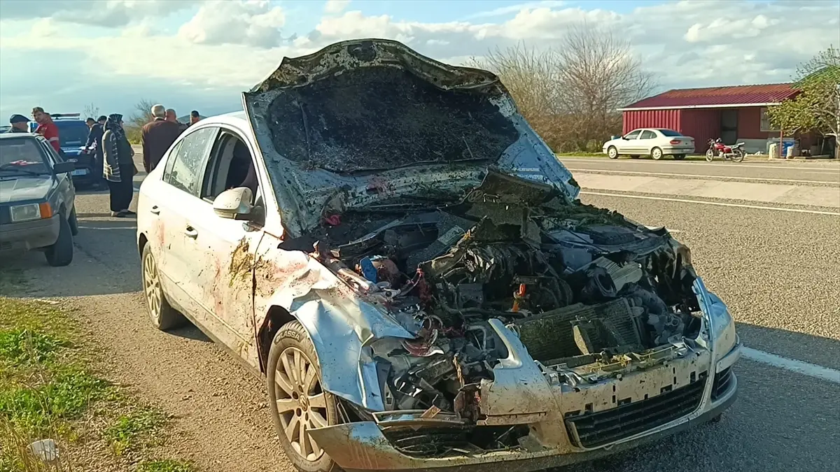 Kozan’da Otomobil Koyun Sürüsüne Çarptı: 7 Hayvan Yaralandı