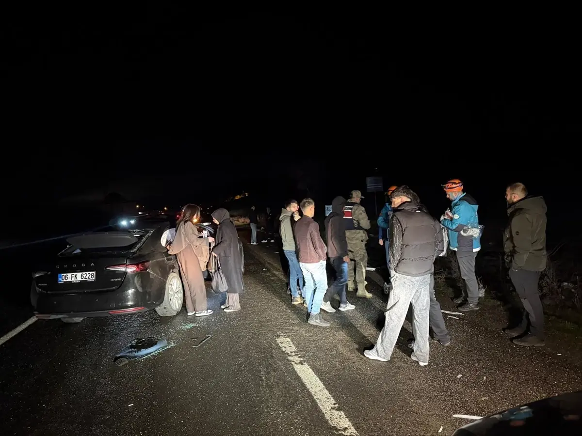 Bingöl'de Otomobil Ata Çarptı: 4 Yaralı, At Şehit Oldu