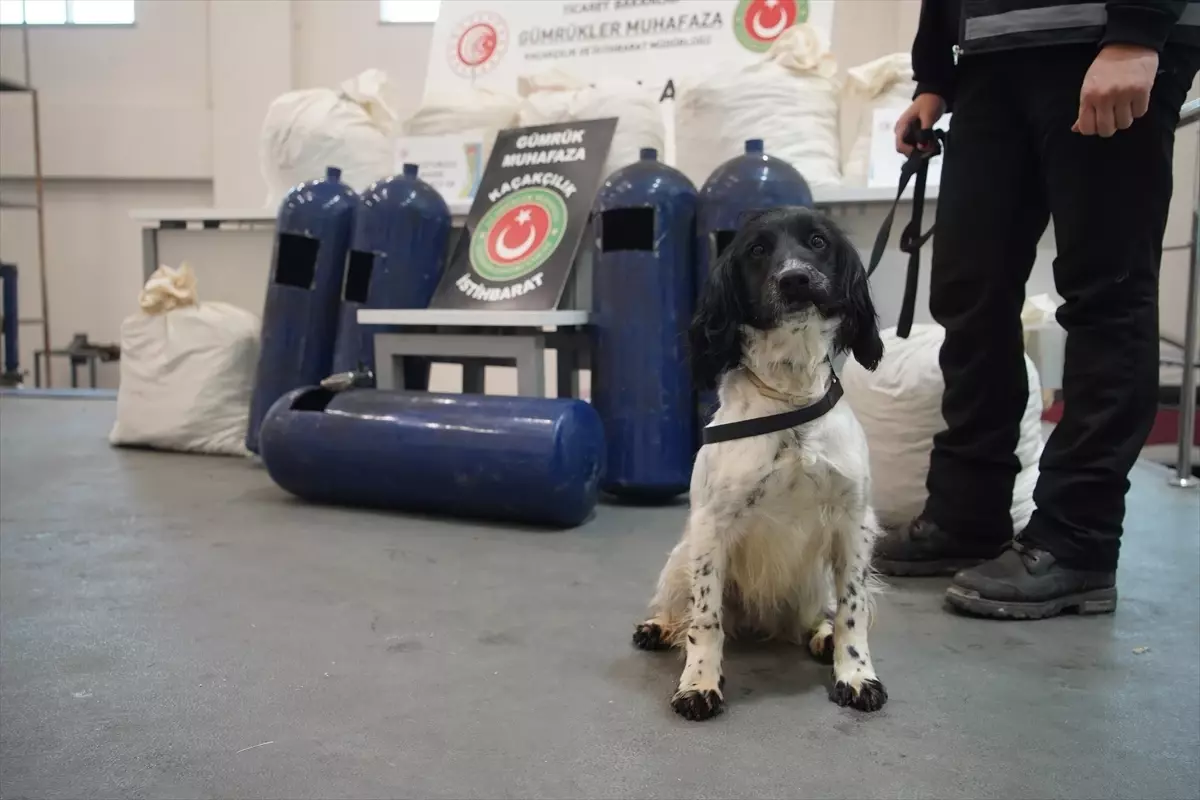 İpsala Sınır Kapısı’nda 35 Kilogram Uyuşturucu Ele Geçirildi, 2 Şüpheli Gözaltına Alındı