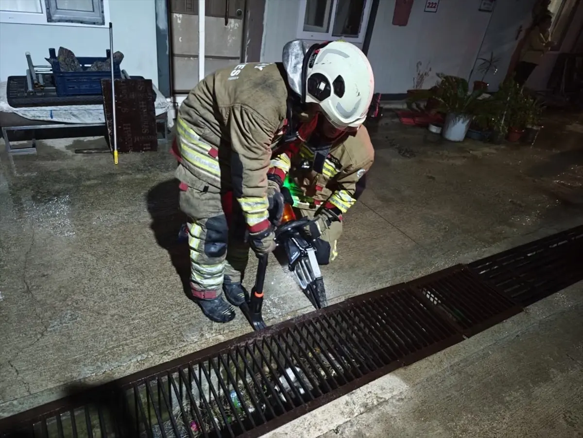 İskenderun’da Su Kanalında Mahsur Kalan Anne Kedi ve Yavruları İtfaiye Ekipleriyle Kurtarıldı