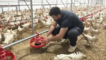 Yurt Dışında Eğitim Aldıktan Sonra 1.000 Kapasiteli Tavuk Çiftliği Kuran Genç Girişimci Hüseyin Kaan Işık