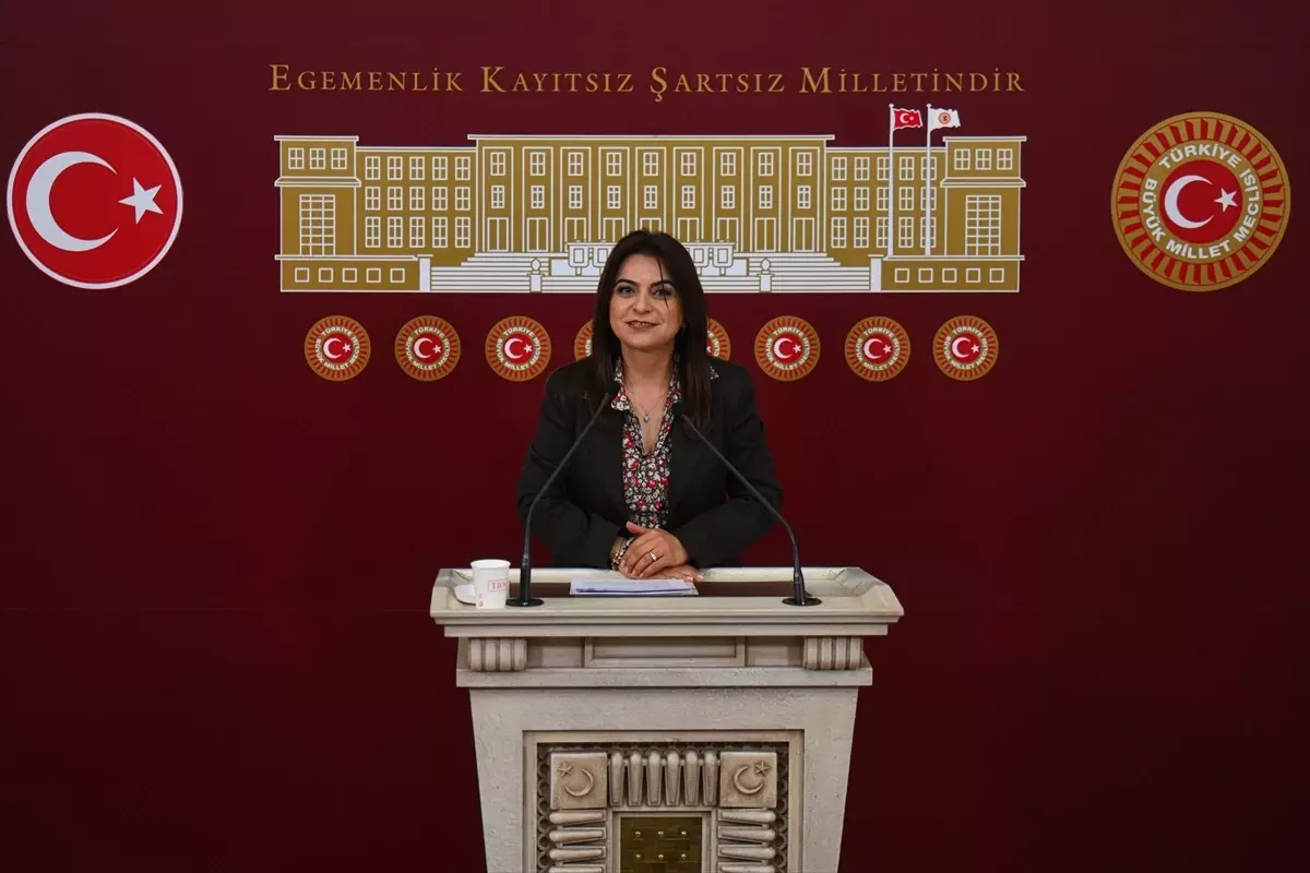 Koçyiğit, Bayram Sonrası Yasal Düzenlemeler İçin Acil Çağrı Yaptı