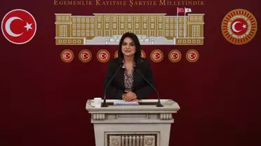 Koçyiğit mecliste konuşma