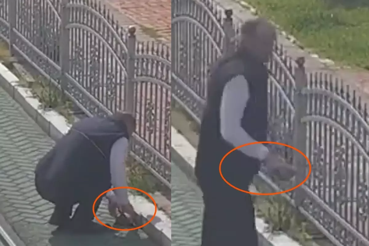 Kocaeli Tramvayında Vatmanın Şefkati: Kaplumbağa Güvenli Bölgeye Taşındı