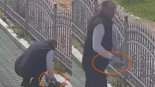 Vatmanın kaplumbağayı taşıması