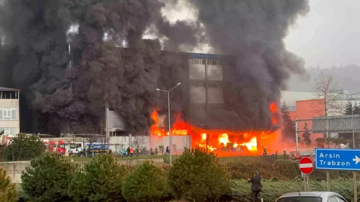 Trabzon’da Fındık Fabrikasında Yangın Kontrol Altına Alındı