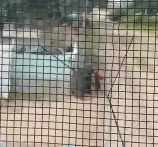 Raylarda güvenlik önlemleri