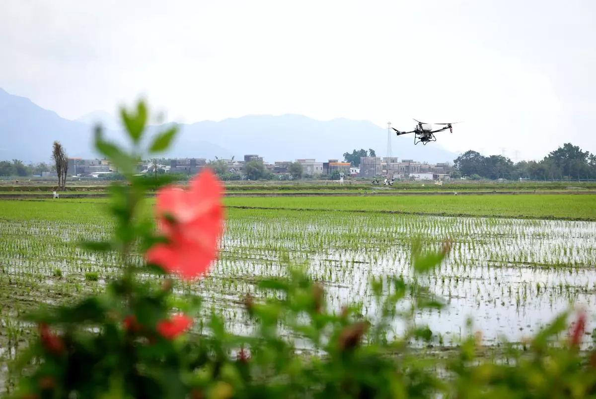 Taishan’da Akıllı Tarıma Geçiş: Dijital Çözümlerle Verim Artışı