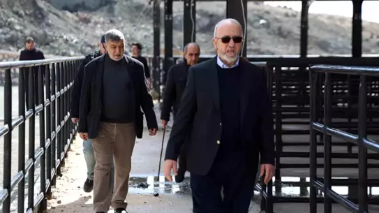 Hayvan Pazarı projesi planları