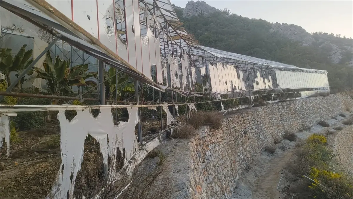 Alanya’da Muz Serası Kundaklama Olayı: Üç Şüpheli Tutuklandı