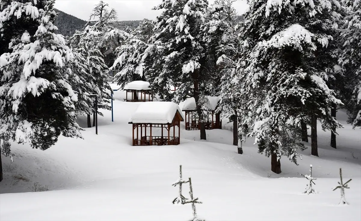 Ardahan ve Kars’ta Şiddetli Kar Yağışı Şehirleri Beyaza Döndürdü