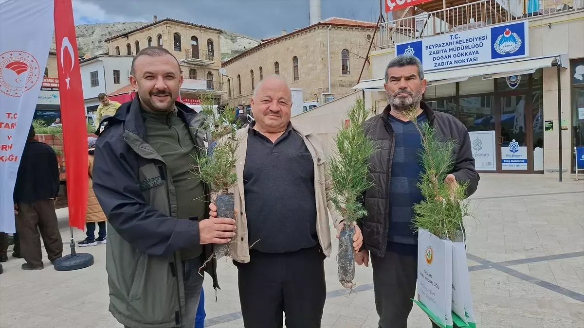 Beypazarı'nda 21 Mart Dünya Ormancılık Günü'nde 1.500 Yeni Fidan Dağıtıldı