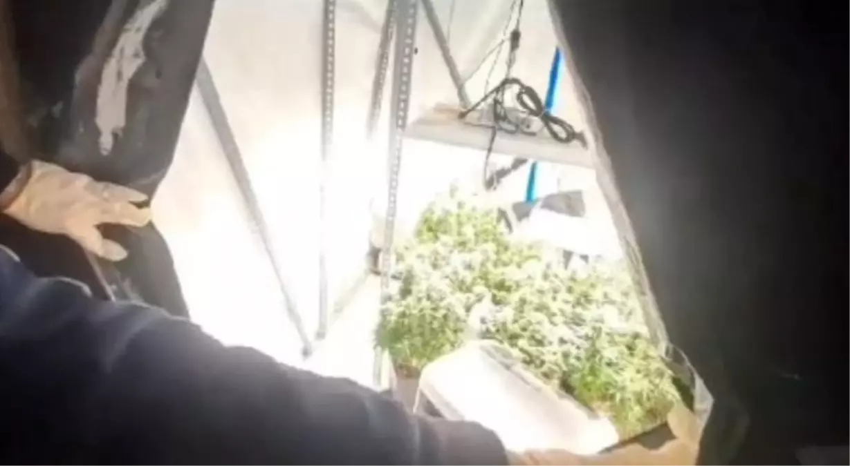 Kocaeli'de 40 Adrese Uyuşturucu Operasyonu: 36 Kişi Gözaltında