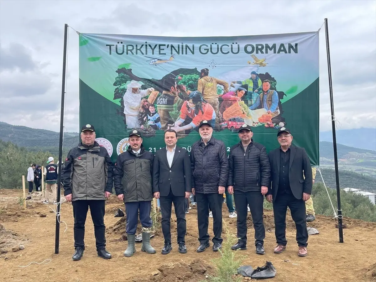 Niksar’da Orman Haftası Etkinliği: Binlerce Fidan Toprakla Buluştu