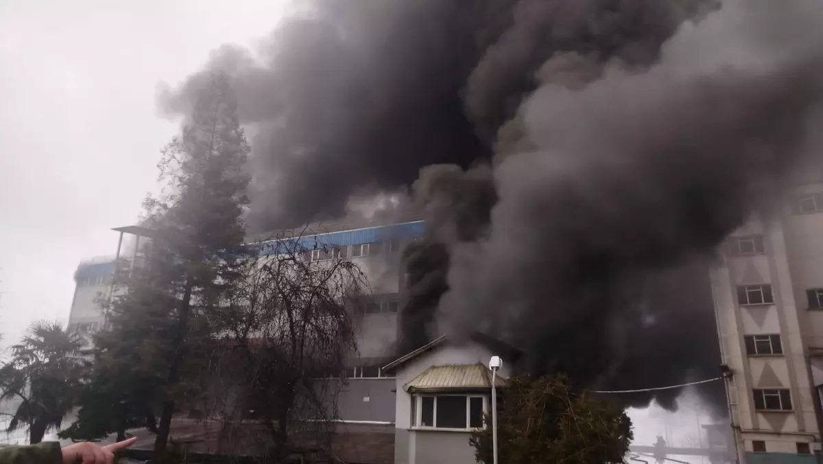 Trabzon Arsin'deki Fındık Fabrikasında Şiddetli Yangın