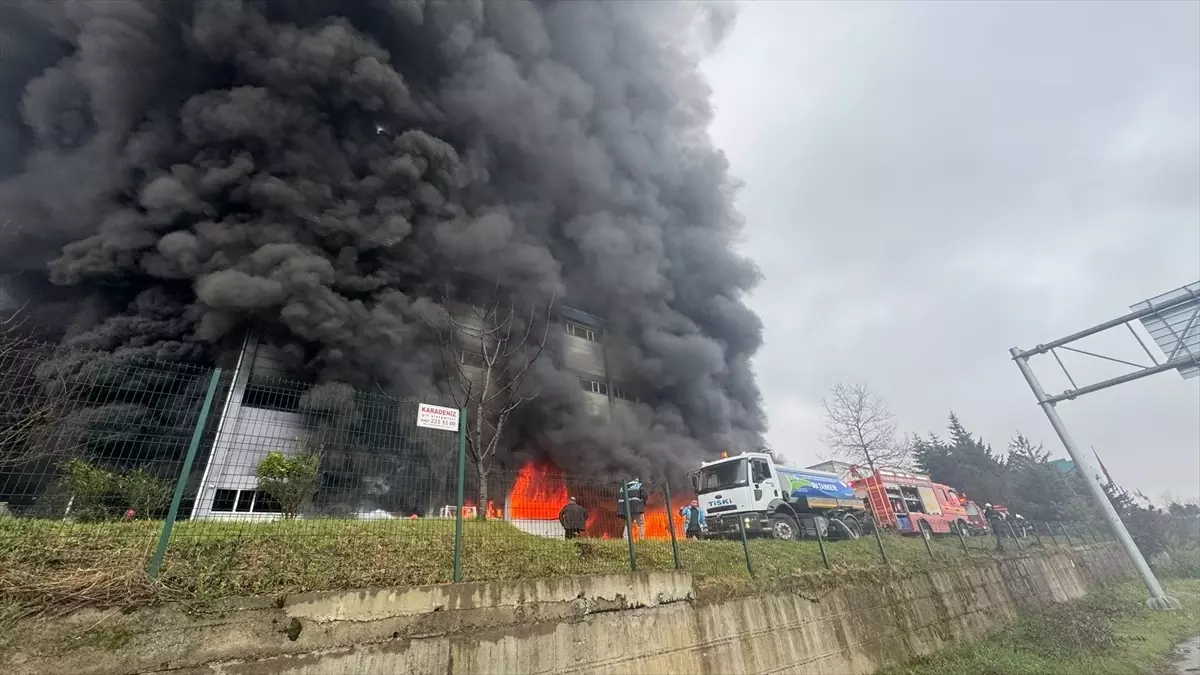 Trabzon Arsin'de Fındık Fabrikası Deposu Yangınıyla Mücadele Edildi